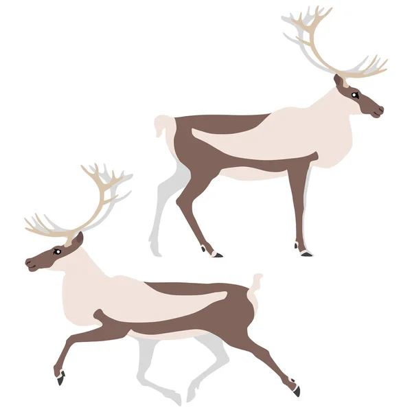 白色背景下直立和运行驯鹿的矢量图解 — 图库矢量图片