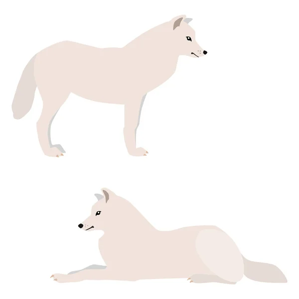Ilustración Vectorial Lobos Árticos Pie Acostados Aislados Sobre Fondo Blanco — Archivo Imágenes Vectoriales