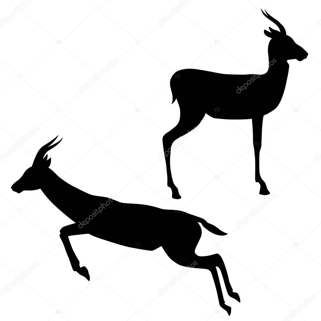Black silhouettes of standing and running Thomson's gazelles isolated on white background. Vector illustration EPS 8