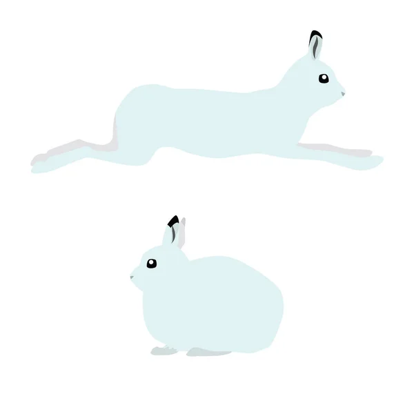 Vector Illustration Running Sitting Cute Polar Hares Isolated White Background — Stock Vector