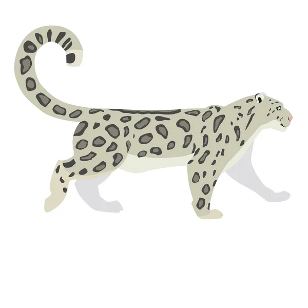 Wektor Ilustracja Spaceru Snow Leopard Białym Tle Eps — Wektor stockowy