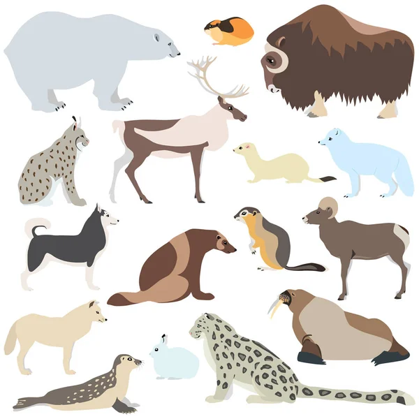 Desenhos Animados Ilustração Animais Polares Isolados Fundo Branco Tais Como —  Vetores de Stock