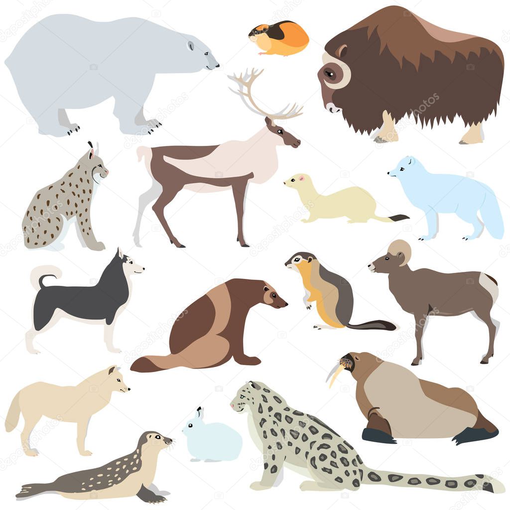 Cartoon illustration of polar animals isolated on white background, such as polar bear, arctic fox, lemming, caribou, seal, walrus etc.