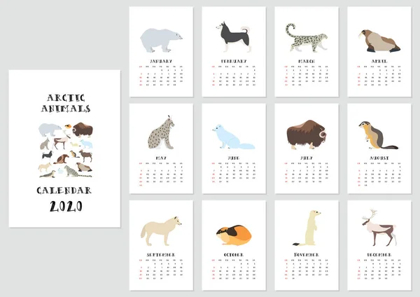 Calendar 2020 Vector Monthly Calendar Arctic Animals — Stock Vector