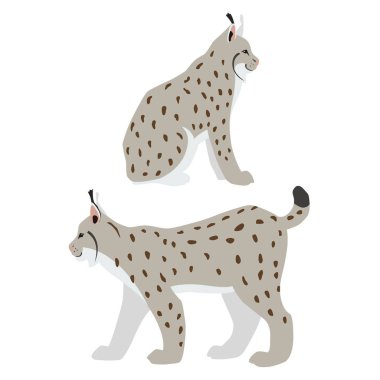 Beyaz arka planda izole edilmiş kış kürk mantolu oturma ve yürüme vaşakları vektör illüstrasyonu