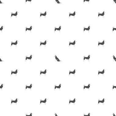 Beyaz arka plan üzerinde Sibirya huskies ile Vektör dikişsiz desen.
