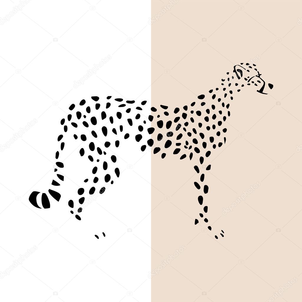 Transparent silhouette of standing cheetah. Vector illustration EPS 8