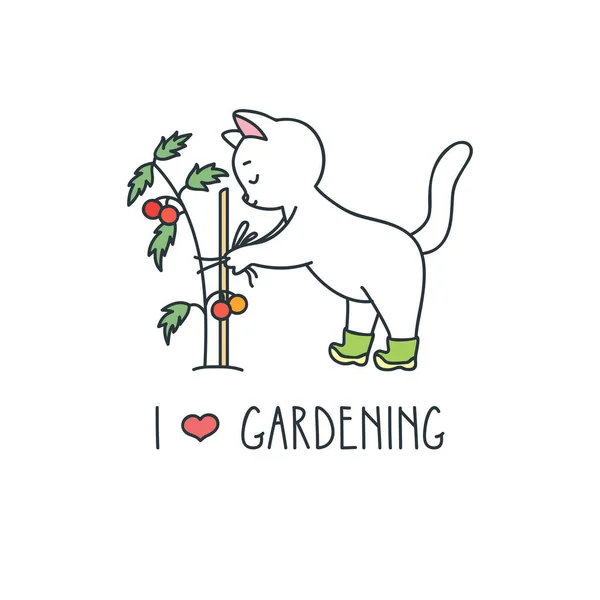 Love Gardening Illustration Cute Gardener Cat Growing Tomatoes Isolated White — Stock Vector