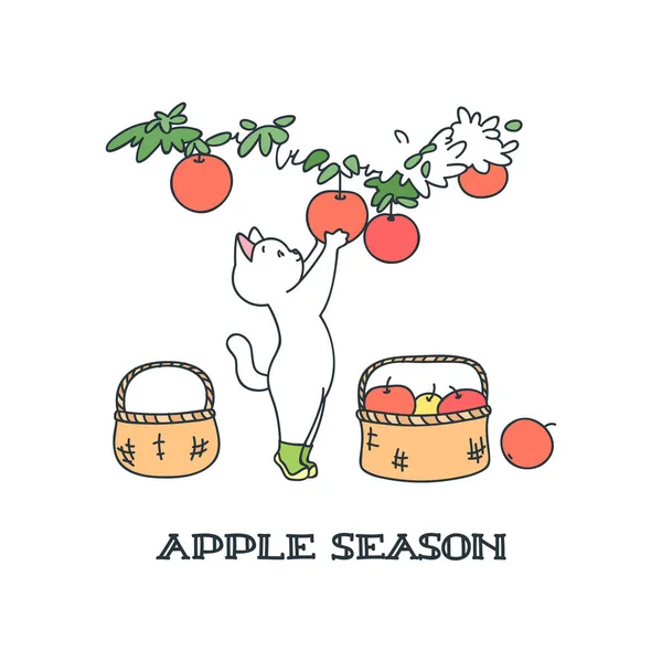 Εποχή Μήλων Εικονογράφηση Ενός Χαριτωμένου Κηπουρού Γάτα Μαζεύοντας Μήλα Από — Διανυσματικό Αρχείο
