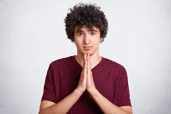 Please, forgive me! Handsome young curly male makes praying gesture, keeps palms pressed together, feels guilty, dressed in casual t shirt, asks for apologize, isolated over white background