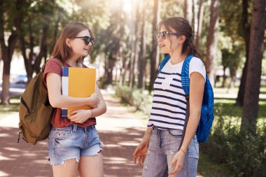 Üniversite öğrencilerinin shot yanlışlıkla parkta buluşuyor, taşımak çanta ve Kitaplar, hoş konuşma, Üniversitesi'nde son haberler hakkında sohbet, yaz sınav için hazırlanın. İnsanlar, eğitim ve dostluk