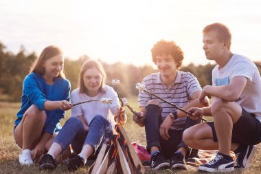 Mutlu genç arkadaşlar birlikte karşılamak, doğa üzerinde parti var, ateşin oturup, şekerleme kızartmak, birbirleriyle konuşmak, güneşli sıcak yaz günü ve sakin atmosferi tadını çıkarın. Gençler ve eğlence kavramı