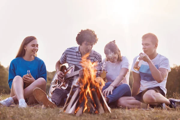 Лучшие Друзья Женщины Мужчины Наслаждаются Летним Днем Пикнике Играют Акустической — стоковое фото