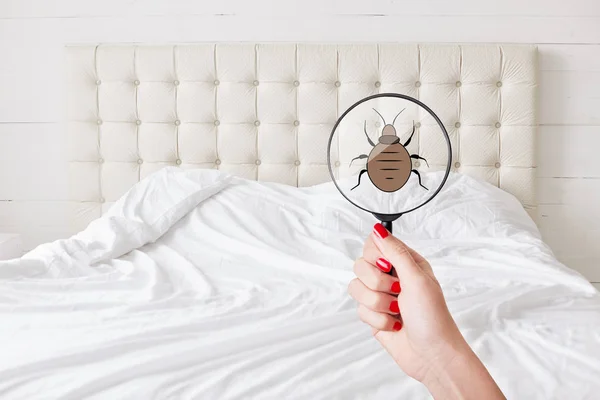 Kotor Sana Lensa Dengan Bug Terhadap Tempat Tidur Insanitasi Kamar Stok Lukisan  