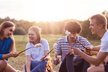 Arkadaş dost Şirket fotoğrafı piknik açık, rosto Marshmallow kamp ateşi var, komik bir şey tartışmak, açık poz olumlu ifadeler, hoş canlı talk. Dostluk