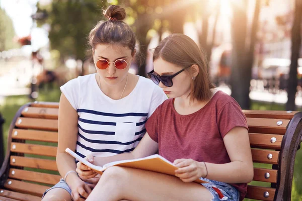 Final Sınavları Üniversitesi Giyer Trendy Güneş Gözlüğü Gömlek Kitap Haline — Stok fotoğraf