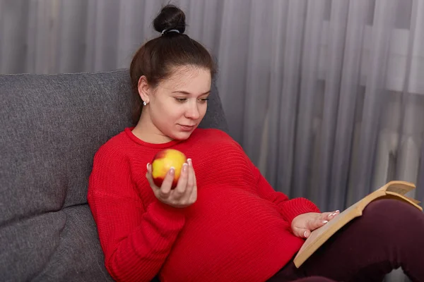 Concentrated Young Woman Hair Bun Anticipates Baby Reads Interesting Book — Stock Photo, Image