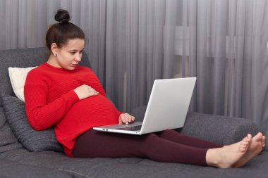 Hamile kadının fotoğrafını tembel hissediyor, dizüstü bilgisayar dikkatle bakar, kanepe pozlar, seyretmek film online, ücretsiz internet bağlantısı evde sahiptir, modern teknolojiler ile boş zaman harcıyor
