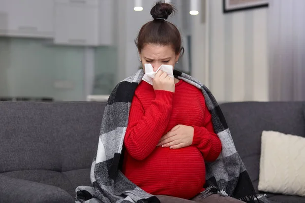 Photo Tired Displeased Pregnant Lady Sneezes Tissue Has Cold Wrapped — Stock Photo, Image