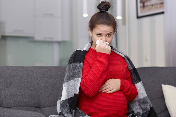 Внутренний горизонтальный снимок уставшей больной брюнетки, у которой бегает нос и холод, чувствует себя плохо, накинулся на плечи, сидит на диване, позирует в гостиной. Инфекция, грипп, болезнь и беременность
