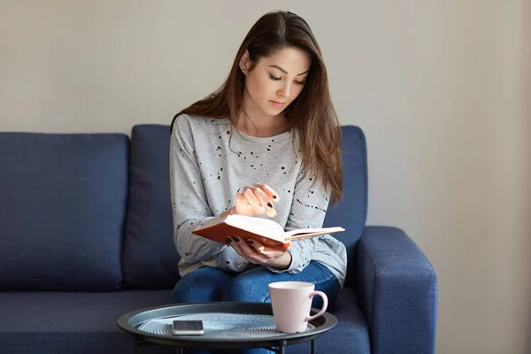 Photo Attractive Concentrated Young Woman Jumper Focused Book Sits Comfortable — Stock Photo, Image
