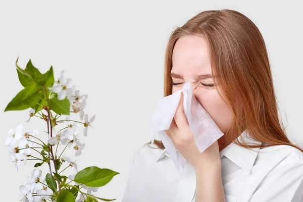 Mujer Joven Enferma Insatisfecha Estornuda Tejido Frunce Ceño Tiene Nariz — Foto de Stock