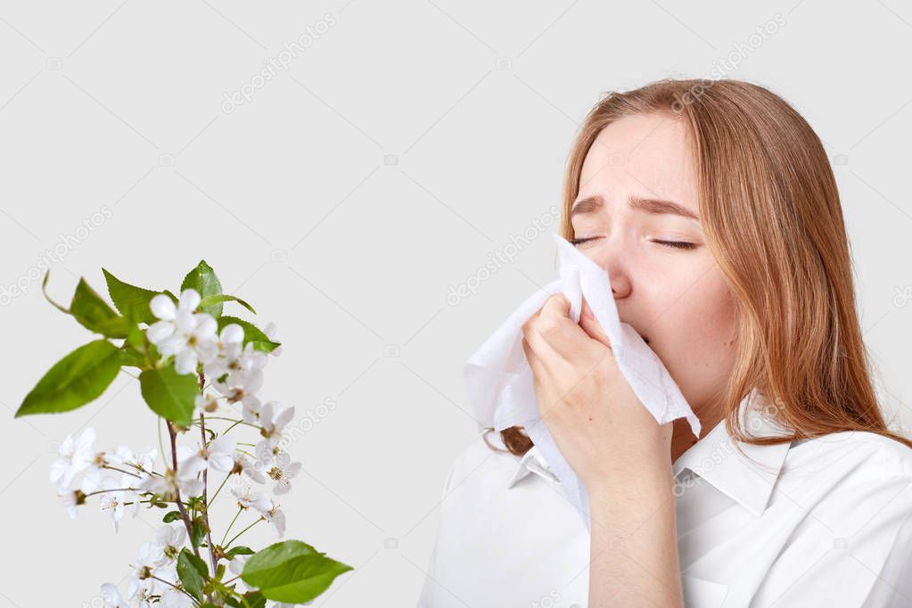Photo of young woman keeps handkerchief near nose, has allergy to tree blossom, wears elegant shirt, isolated over white background. People, sensitivity, allergy, sickness, sneezing concept.