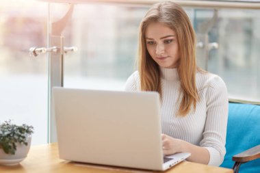 Dizüstü bilgisayar ekranına konsantre güzel kadın blogger konsantre takipçisi yorum okur, beyaz jumper giyer, kablosuz internet'e bağlı kafeteryasında teşkil etmektedir, serbest çalışır