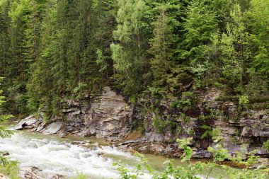 Dağ manzarası, orman, yeşil ağaçlar, güzel kıvrımlı nehir, heyecan verici scenary, ziyaret ve dinlenme, kayalık dağ, su, harika doğanın fotoğraf için ilginç bir yer. Seyahat konsepti.