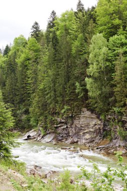 Yüksek dağlar nehir, güzel kıvrımlı nehir, yeşil orman, ağaçlar, yaz aylarında bulutlar ile mavi gökyüzü, harika sahne, doğa ve manzara kavramı enjoing ile renkli manzara.