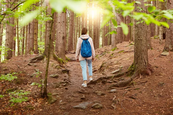 Immagine di giovane donna che si riposa andando a passeggiare nella foresta, portando lo zaino blu, vestito con disinvoltura, essendo in legno sulla luce del tramonto nella stagione primaverile, godendo di meravigliosi paesaggi. Concetto di viaggio . — Foto Stock