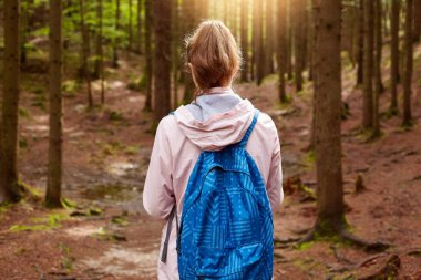 Bir yöne giden enerjik gezgin arka görünümü, ormanda macera yaşıyorsanız, Doğa ve temiz hava zevk, gölgeli yollarda dolaşan, sırt çantası ve pembe ceket giyiyor. Eğlence Aktiviteleri.