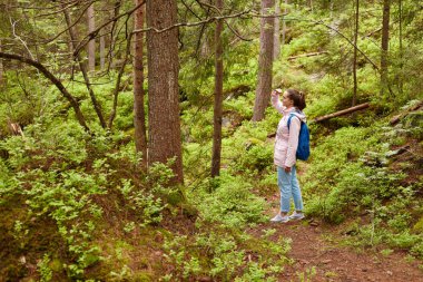 Açık pembe ceket, mavi Backback, kot ve spor ayakkabıları giyen Pony kuyruk ile sportif aktif genç kadın profili, orman yolunun ortasında ayakta, çok ileriye bakarak, el ile alnına dokunmadan.