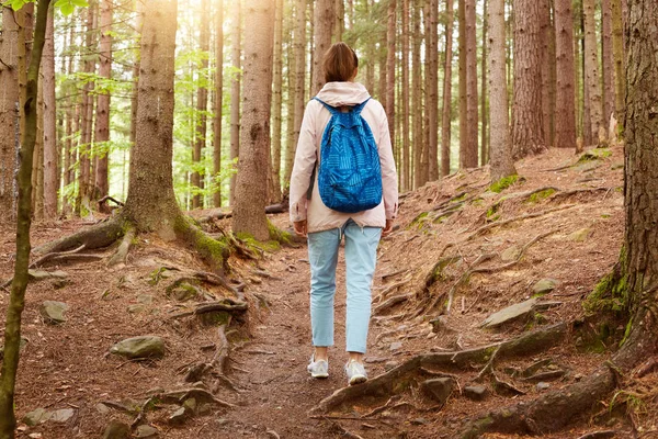 户外拍摄的女孩旅行者走在森林中,女孩在树林里背着蓝色背包,年轻的女士沿着森林小径散步,肩上背着包的女人穿过野生森林。生活方式理念. — 图库照片