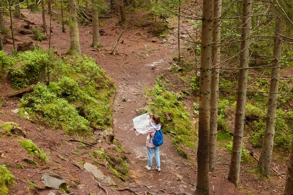 Prise de vue en plein air d'explorateur errant voyageant avec carte en forêt, faisant de la randonnée, passant des vacances avec plaisir, s'intéressant à la nature, marchant au milieu de nulle part. Concept d'orientation . — Photo