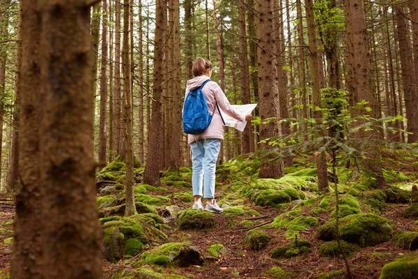 Pohled na ženskou turistku, jak chodí lesem, drží mapu, pokouší se najít správnou cestu do dřeva, má modrý batoh, nosí růžové sako, neformální kalhoty a tenisky. Koncepce cestování a aktivního dovolené — Stock fotografie