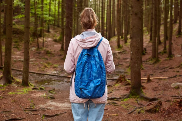Pohled na tenkým atletickou turistickou s modrým batohu procháhlým přes borový les. Ženy tráví čas na otevřeném vzduchu. Koncepce cestovního ruchu, cestování, pěší turistika a zdravého životního stylu. — Stock fotografie