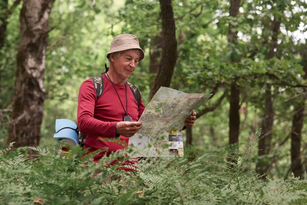 Close up portrait of traveler senior man searching right direction on map, traveling along nature. Old Tourist with map standing in amazing forest, freedom, active lifstyle, happy and health retiremen