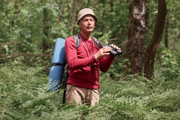 Eccitato autostoppista maschio in piedi tra gli alberi con binocolo nella foresta, sembra concentrato, maschio anziano indossa casual maglione rosso e cappello, porta zaino e tappeto. Concetto ricreativo attivo . — Foto Stock