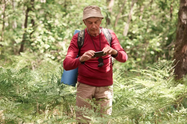 Tourism, hiking, forest and technology concept. Eldery Caucasian male traveler uses hand phone, making photo or video in mood, standing with backpack, rug, compass, has active outdoor recreation.