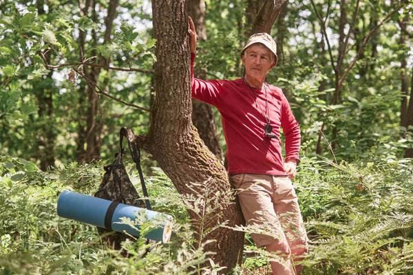 Portrait d'un homme âgé debout près d'un arbre sur fond de forêt. Homme mûr avec sac à dos et tapis s'arrête pour se reposer après de longues heures de randonnée. Voyager, loisirs actifs, concept d'aventure . — Photo