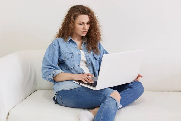 Freelancer female working at home with laptop, has concentrated facial expression, wearing denim jacket and jeans, charming female sitting on white comfortable couch, using wireless internet. — Stock Photo, Image