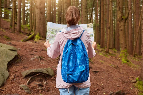 Vista posteriore del viaggiatore snello con coda di cavallo che indossa jeans, zaino blu, giacca di rosa, guardando la mappa, cercando di non perdersi, trascorrendo del tempo nella foresta intorno ad alberi alti verdi. Concetto viaggiatore . — Foto Stock