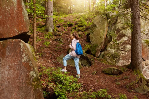 Venkovní záběr toulavé energické samice, která se nachází na vrcholku lesního kopce, má prázdniny, tráví čas v letním lese, má ráda přírodu a vybrala si správnou cestu k pohybu. Wanderchtíč, koncept. — Stock fotografie