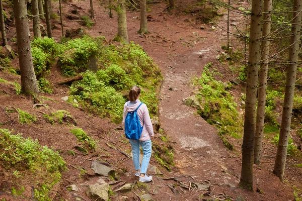 Vista posteriore di viaggiatore attivo vagare tra baldacchino di alberi, scegliendo la strada migliore, cercando la giusta via d'uscita, godendo le sue vacanze, trascorrendo il suo tempo libero con la natura. Concetto di viaggio . — Foto Stock