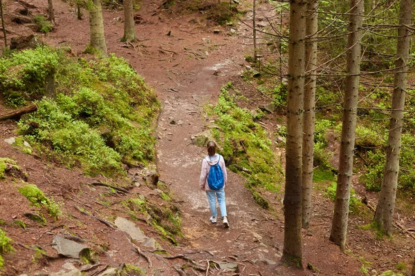 Prise de vue extérieure d'une femelle errante à queue de cheval portant un sac à dos bleu, une veste rose et un jean, se promenant en forêt, choisissant un sentier, regardant autour de lui, faisant de la randonnée seule. Concept d'expérience de voyage . — Photo