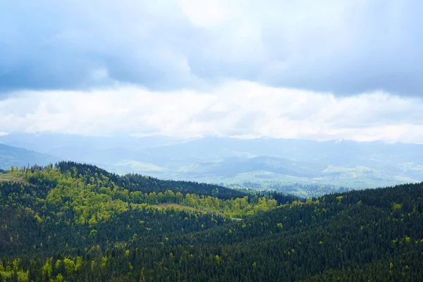 Green Forest Hill Landscape As a High Definition Panorama Stock Photo -  Image of nature, landscape: 199618368