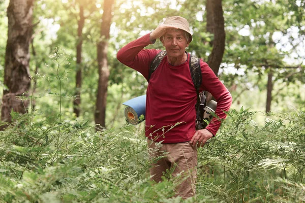 Ritratto di attento viaggiatore anziano che fa un giro nella foresta, guarda lontano, coprendo gli occhi con la mano, essendo felice, indossando abiti speciali per l'escursionismo, godendo il suo tour. Concetto attività . — Foto Stock