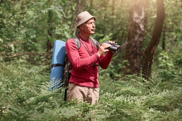 Uomo anziano birdwatching mentre in piedi all'aperto nella foresta, la scansione dei suoi dintorni con binocolo, maschio vestito casual maglione rosso e cappello, in posa con zaino e tappeto, godendo bella natue . — Foto Stock