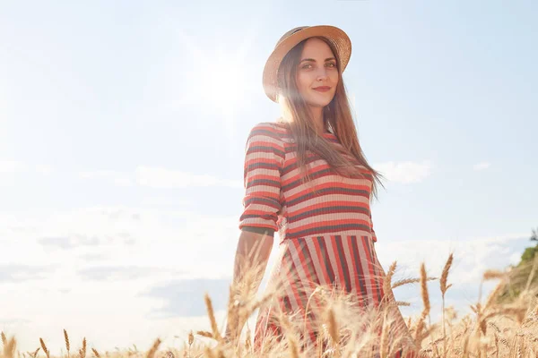 Menina bonito atraente com chapéu de palha e vestido listrado elegante, posando no campo de trigo durante o pôr do sol, desfrutando de bela natureza, modelo olhando diretamente para a câmera. Conceito de atmosfera romântica . — Fotografia de Stock